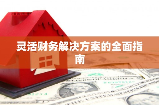 萝北灵活财务解决方案的全面指南