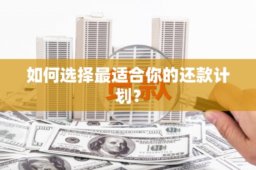 萝北如何选择最适合你的还款计划？