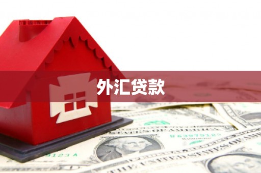 萝北外汇贷款
