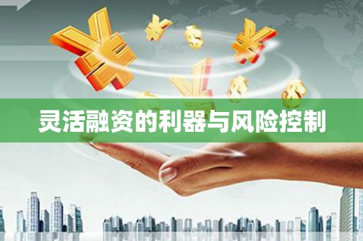 萝北灵活融资的利器与风险控制