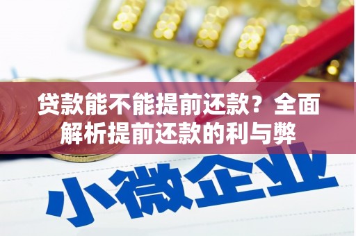 萝北贷款能不能提前还款？全面解析提前还款的利与弊