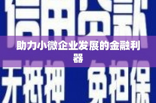 萝北助力小微企业发展的金融利器