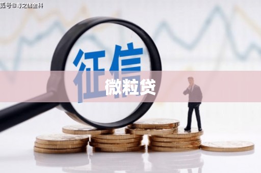 萝北微粒贷