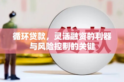 萝北循环贷款，灵活融资的利器与风险控制的关键