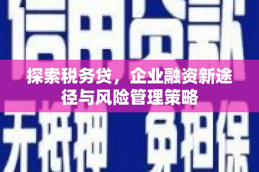 萝北探索税务贷，企业融资新途径与风险管理策略