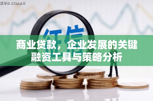 萝北商业贷款，企业发展的关键融资工具与策略分析