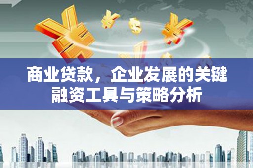 萝北商业贷款，企业发展的关键融资工具与策略分析