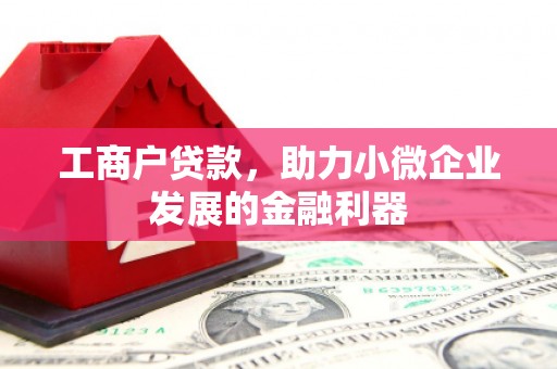 萝北工商户贷款，助力小微企业发展的金融利器