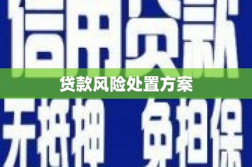 萝北贷款风险处置方案