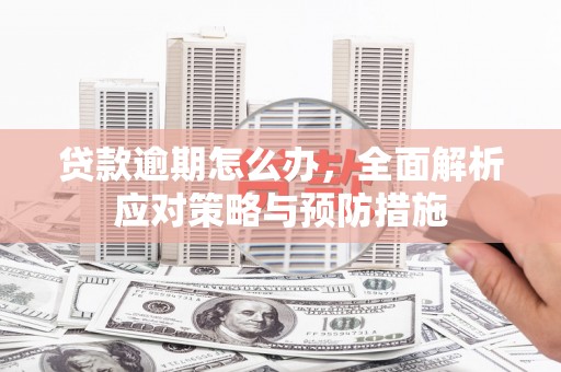 萝北贷款逾期怎么办，全面解析应对策略与预防措施