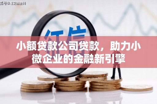 萝北小额贷款公司贷款，助力小微企业的金融新引擎