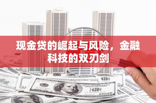 萝北现金贷的崛起与风险，金融科技的双刃剑