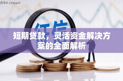 萝北短期贷款，灵活资金解决方案的全面解析