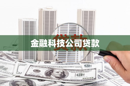 萝北金融科技公司贷款