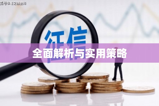 萝北全面解析与实用策略