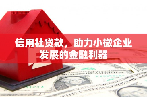 萝北信用社贷款，助力小微企业发展的金融利器