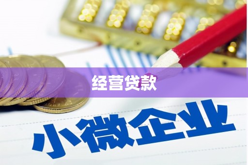 萝北经营贷款
