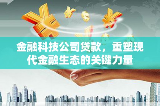 萝北金融科技公司贷款，重塑现代金融生态的关键力量