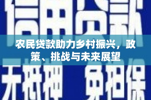 萝北农民贷款助力乡村振兴，政策、挑战与未来展望