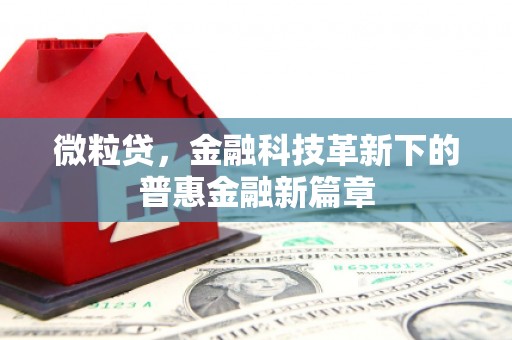 萝北微粒贷，金融科技革新下的普惠金融新篇章