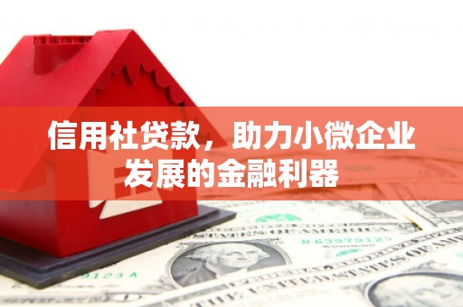 萝北信用社贷款，助力小微企业发展的金融利器