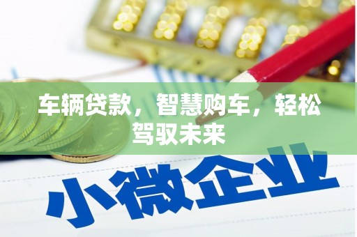 萝北车辆贷款，智慧购车，轻松驾驭未来