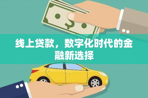萝北线上贷款，数字化时代的金融新选择