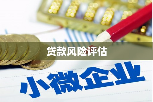 萝北贷款风险评估