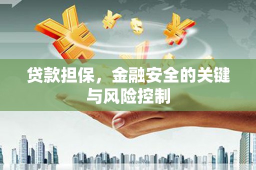 萝北贷款担保，金融安全的关键与风险控制