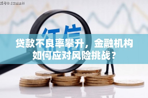 萝北贷款不良率攀升，金融机构如何应对风险挑战？