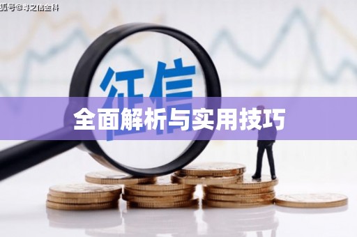 萝北全面解析与实用技巧