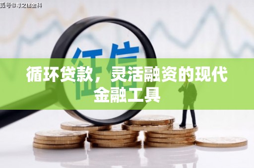 萝北循环贷款，灵活融资的现代金融工具