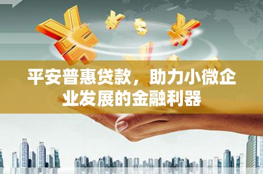 萝北平安普惠贷款，助力小微企业发展的金融利器