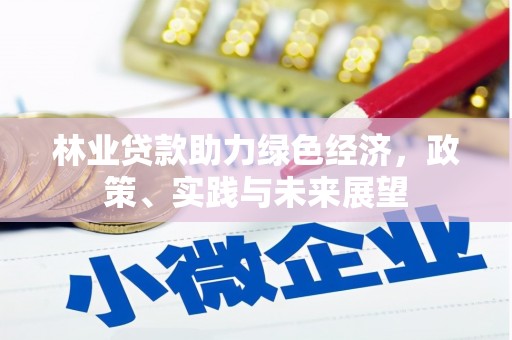 萝北林业贷款助力绿色经济，政策、实践与未来展望