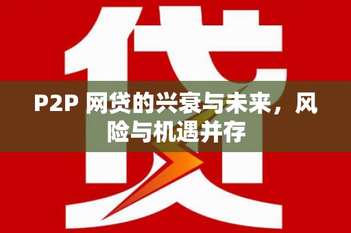 萝北P2P 网贷的兴衰与未来，风险与机遇并存