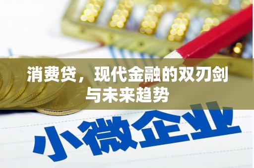 萝北消费贷，现代金融的双刃剑与未来趋势