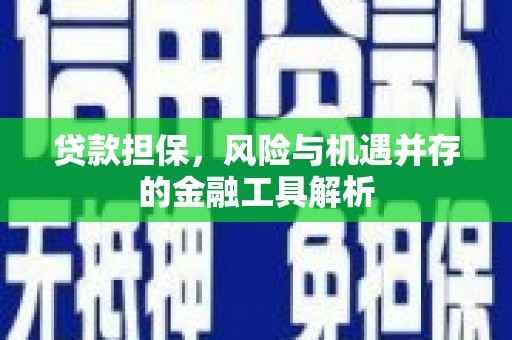 萝北贷款担保，风险与机遇并存的金融工具解析