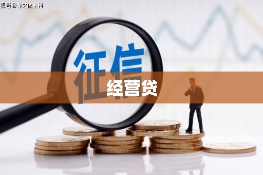 萝北经营贷