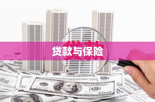 萝北贷款与保险