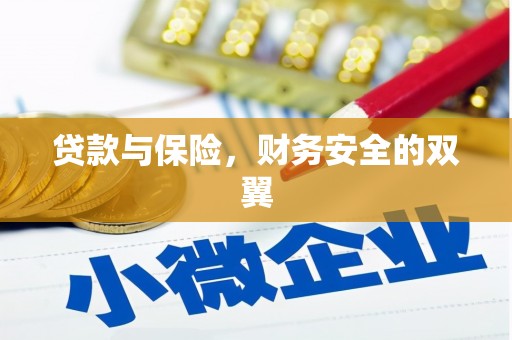 萝北贷款与保险，财务安全的双翼