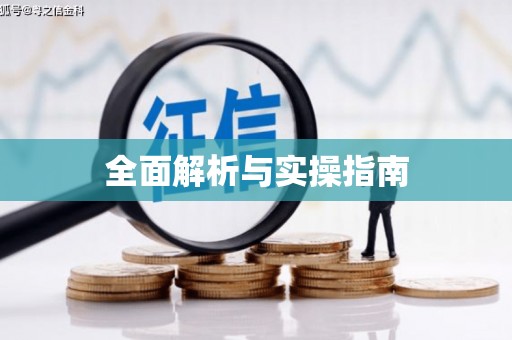 萝北全面解析与实操指南