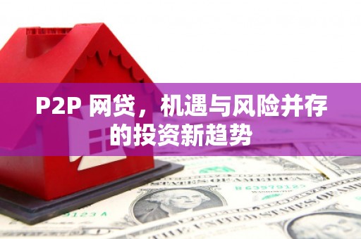 萝北P2P 网贷，机遇与风险并存的投资新趋势