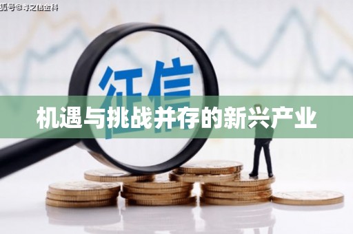 萝北机遇与挑战并存的新兴产业