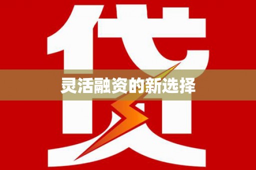 萝北灵活融资的新选择
