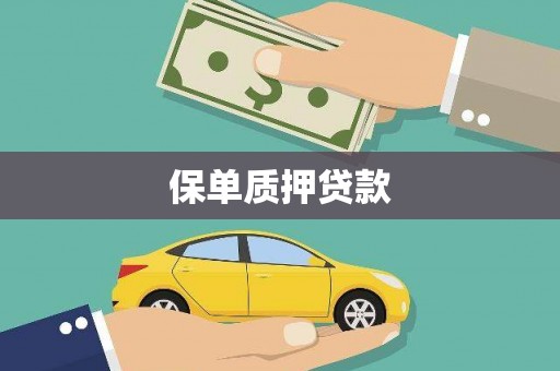 萝北保单质押贷款