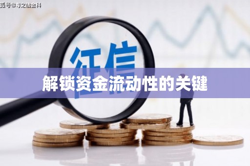 萝北解锁资金流动性的关键