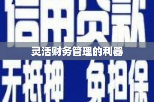 萝北灵活财务管理的利器