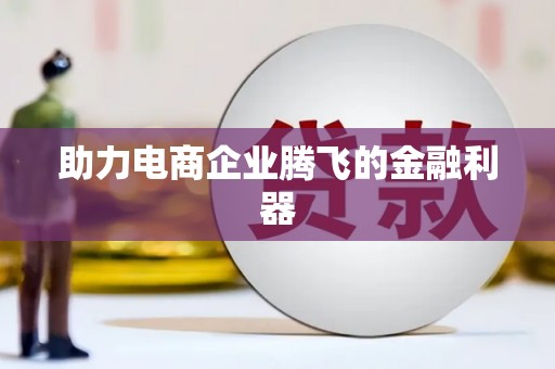 萝北助力电商企业腾飞的金融利器