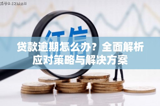 萝北贷款逾期怎么办？全面解析应对策略与解决方案