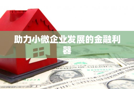 萝北助力小微企业发展的金融利器
